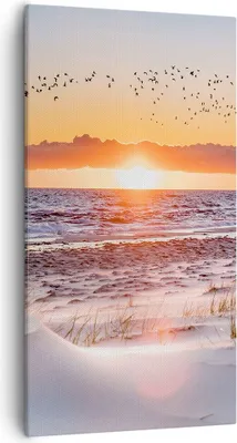 Produktbild von Bild auf Leinwand - Leinwandbild - Einteilig - Sonne Strand Vögel - 55x100cm - Wand Bild - Wanddeko - Wandbilder - Leinwanddruck - Bilder - Wanddekoration - Leinwand bilder - Wandbild - PA55x100-4727