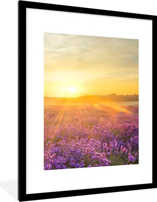 Produktbild von MuchoWow® Gerahmtes Poster Lavendel - Sonnenuntergang - Bäume - Lila 60x80 cm - Poster mit Schwarzem Bilderrahmen Wandposter Rahmen Foto Bilder - Wohnzimmer - Dekorationen - Prämie