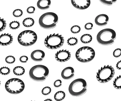 Imagen del producto de Juego de arandelas de resorte 1440 (lisas y dentadas)