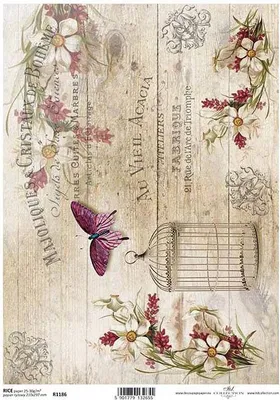 Produktbild von ITD Reispapier Decoupage Bastelpapier Serviettentechnik-R1186 - A4 Schmetterlingskäfig vintage
