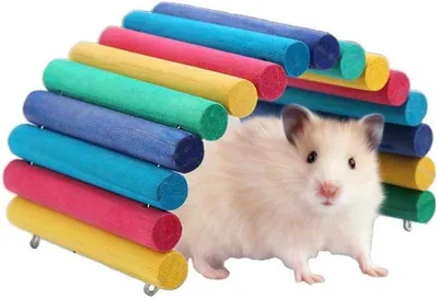 Holzbrücke für Hamster und kleine Haustiere - Regenbogen-Schaukelrampe für Käfigdekoration und Spielzeug für Mäuse und Ratten