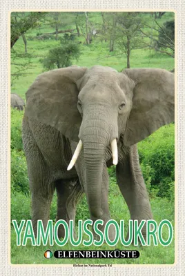 Image de vianmo Panneau en bois 18x12 cm Yamoussoukro Elfenbeinküste Nationalpark