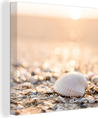 Produktbild von MuchoWow® - Leinwandbilder - Muscheln - Weiß - Strand - Sommer, Wandbild, Wanddeko Bilder Wohnzimmer, 20x20 cm
