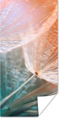 Produktbild von MuchoWow® Poster Blume - Löwenzahn - Pflanze 75x150 cm - Dekoration für die Wände