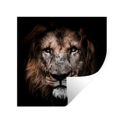 Produktbild von MuchoWow® Wandtattoo Wandsticker Wandaufkleber Löwe - Tiere - Schwarz 50x50 cm Selbstklebend und Repositionierbar - Selbstklebend - Fototapeten