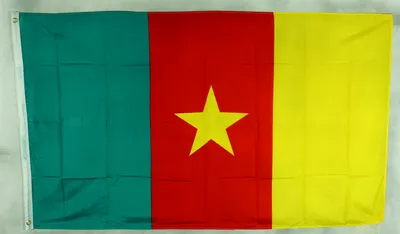 Produktbild von Flagge Fahne : Kamerun Kamerunflagge  Nationalflagge Nationalfahne
