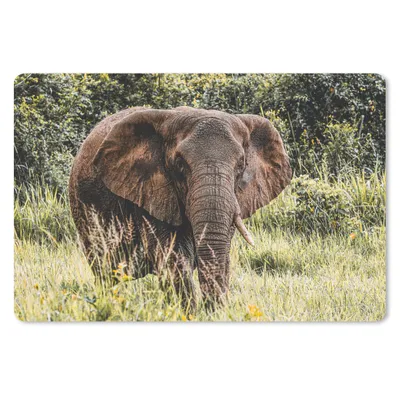 Produktbild von MuchoWow® Schreibtischunterlage Elefant - Natur - Gras 60x40 cm - XXL Mauspad - Großes Mauspad
