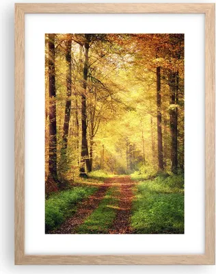 Produktbild von Gerahmtes Poster - Rahmen in heller Eiche - Wald Baum Natur - 30x40 cm - Wand Bild - Wanddeko - Wandbilder - Kunstposter - Wandposter - Bilderrahmen - Bilder - Kunstdruck - Wandbild - P2NPA30x40-3718