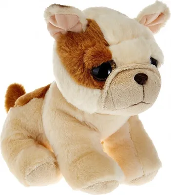 A plush toy dog sitting on a white background.
