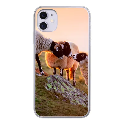 Produktbild von MuchoWow® Handyhülle Schutzhülle Hülle für iPhone 11 Schafe - Tiere - Sonnenuntergang Silikon Softcase Handy Hülle - Handytasche