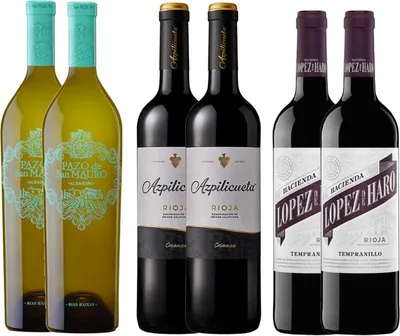 Produktbild von Pack 6 botellas Albariño - Rioja Wein-Pakete Spanien  450.00 cl 13.0 %