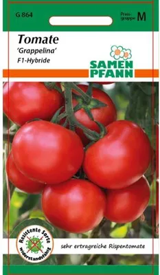 Produktbild von Tomate Grappelina F1-Hybride | Strauchtomatensamen von Samen Pfann