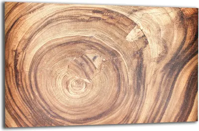 Produktbild von Herdabdeckplatte Glaskeramikkochfeld-Abdeckung Spritzschutz Glas 80x52 Holz