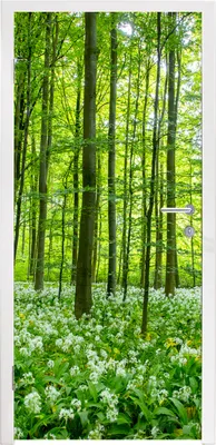 Obrázek produktu pro MuchoWow® Plakát na dveře - Les - Stromy - Zelená - 205x75 cm - Samolepicí fólie na dveře