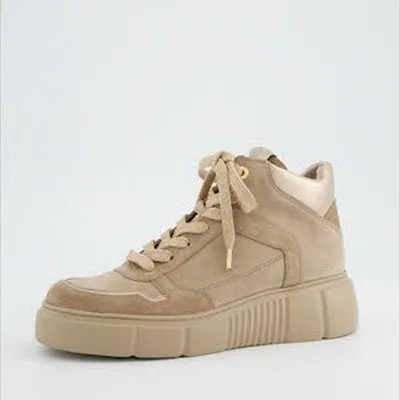 Produktbild von Paul Green Damen Schnürschuh 46893-4.5, 46893-5, 46893-5.5, 46893-6, 46893-6.5, 46893-7, 46893-8 PGR-5407 Beige 8