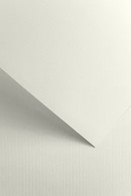 Obrázok produktu pre Galeria Papieru dekoračný papier Florida biely 220g, 20ks