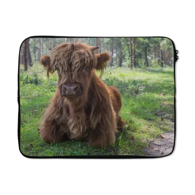 Produktbild von MuchoWow® Laptop Hülle 15 Zoll Schottischer Highlander - Kröte - Tiere Laptoptasche - Laptoptasche - Sleeve - Rundum-Schutz