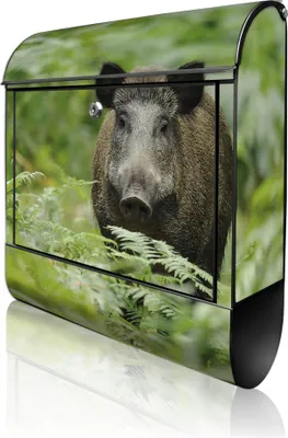 Produktbild von banjado Design Briefkasten Stahl schwarz mit Zeitungsfach pulverbeschichtet "Wildschwein" 38x46x12,5cm & 2 Schlüssel - Postkasten A4 Einwurf inkl. Montagematerial [BKSCH 10495]