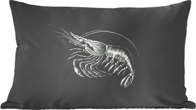 Produktbild von MuchoWow® Zierkissen Sofakissen Wohnzimmer Dekokissen 50x30 cm Shrimps - Vintage - Ernst Haeckel - Tiere - Kunst - Wohnzimmerdekoration - Polster mit Photo