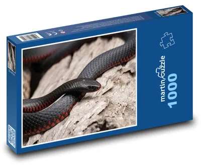 Obrázek produktu pro Puzzle 1000 Černý had na kameni - martinpuzzle