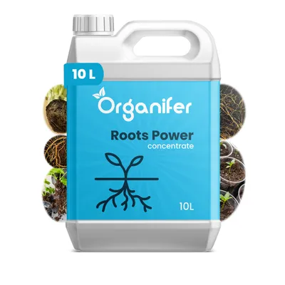 Obrázok produktu pre Stimulátor koreňov – Roots Power Concentrate – 10 l