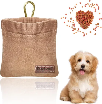 Imagen del producto de Bolsas para golosinas para perros, con cierre de red, de 12 x 12 cm, con mosquetón, ideales para el entrenamiento y los paseos