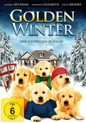 Produktbild von Golden Winter/DVD