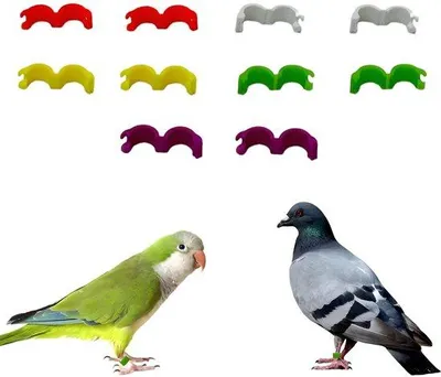 Productafbeelding van Vogelringen - Multifunctionele duivenringen - 5 mm kunststof, verkrijgbaar in 5 kleuren