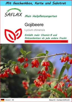 Produktbild von SAFLAX - Geschenk Set - Heilpflanzen - Gojibeere - 200 Samen - Mit Geschenk- / Versandbox, Versandaufkleber, Geschenkkarte und Anzuchtsubstrat - Lycium chinensis