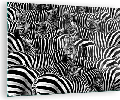 Produktbild von Bilder auf glas - Tiere Zebra Streifen - 70x50cm - Glasbilder - Wandbilder - Kunstdruck - zum Aufhängen bereit - Wanddekoration aus Glas - Glas Bilder - Wandbild auf Glas - Einteilig - GAA70x50-0340