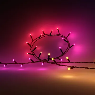 Immagine prodotto di Philips 929003674602 Philips Hue Festavia string lights 500LEDs EU