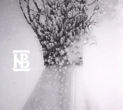 Image de Negura Bunget : Zau (digipack)