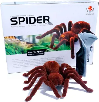 Produktbild von Ferngesteuerte Spinne – Realistische Bewegung | 15 cm Länge mit Beinen | Scherzartikel, Halloween-Deko, Spielzeug