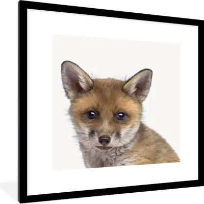 Produktbild von MuchoWow® Gerahmtes Poster Fuchs - Tiere - Jungtier - Jungen - Mädchen - Kind 40x40 cm - Poster mit Schwarzem Bilderrahmen Wandposter Rahmen Foto Bilder - Poster - Plakat im Rahmen