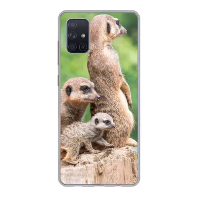 Produktbild von MuchoWow® Handyhülle Schutzhülle Hülle für Samsung Galaxy A71 Erdmännchen - Baumstumpf - Jungtier Silikon Softcase Handy Hülle - Kartenbesitzer