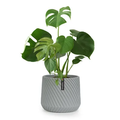 Produktbild von Fox & Fern Blumentopf, Übertopf Groß, UV- und Frostbeständige Blumentöpfe, Blumentopf für Innen und Außen, Übertöpfe für Zimmerpflanzen, Übertopf mit Stopfen, Polystone Pflanzentopf, Einzeltopf