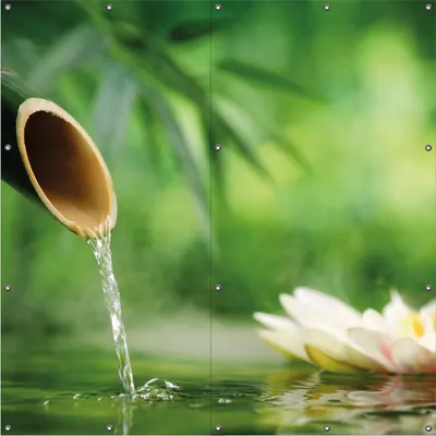 Produktbild von Wallario Outdoor-Poster für Garten oder Balkon, Motiv Seerosen und Bambus auf dem Wasser, in ca. 180 x 180 cm