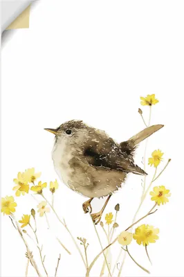 Produktbild von ARTland Wandbild, selbstklebend Aquarell Zaunkönig Größe: 20x30 cm
