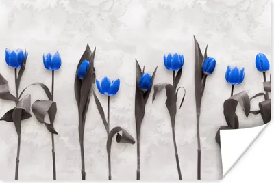 Produktbild von MuchoWow® Poster Blumen - Tulpen - Blau 120x80 cm - Bilder