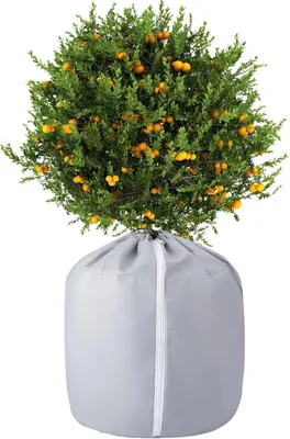 Produktbild von Frostschutzbeutel für Topfpflanzen 45 x 50 cm Winterabdeckung für Garten, Terrasse und Außenbereich