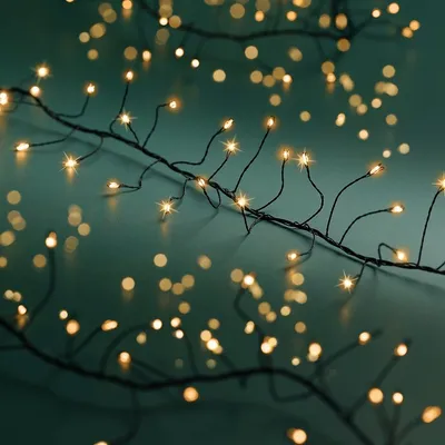 Produktbild von Kaemingk Lumineo Lichterkette Compact Twinkle 480 LED klassisch warm außen 6 m schwarz