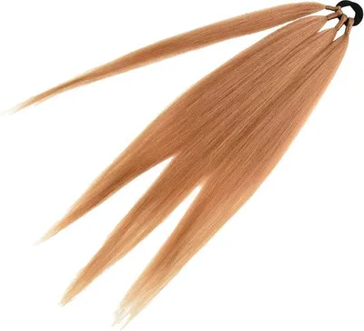 Helle braune Flecht-Haarverlängerungen, zusammengebunden mit einem schwarzen elastischen Haargummi, auf weißem Hintergrund aufgefächert