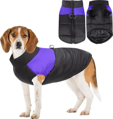 Immagine prodotto di Cappotto per cani, cappotto impermeabile, giacca invernale, giacca calda per cani di taglia piccola, media e grande, abbigliamento per cani, maglione per cani, cappotto invernale, 3XL, verde chiaro