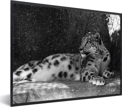 Produktbild von MuchoWow® MuchoWow® Gerahmtes Poster Panther - Schwarz - Weiß 40x30 cm - Poster mit zchwarzem Bilderrahmen - Kunstposter - Wanddekorationen
