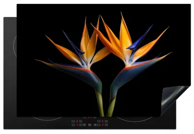 Productafbeelding van Inductiekookplaatbeschermer, 80x52 cm, met plantenmotief
