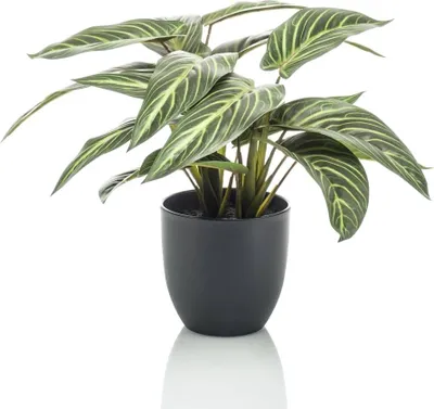 Produktbild von Emerald Künstliche Maranta Calathea Zebrina 38 cm im Topf