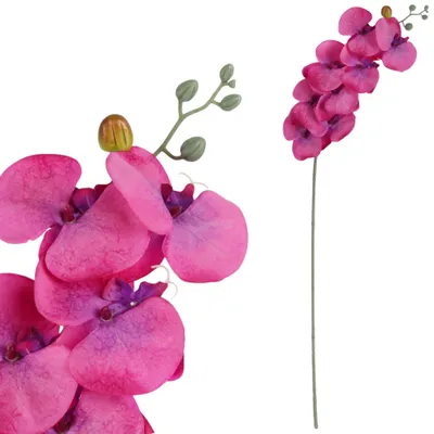 Image de Branche d'orchidée, 90 cm, couleur : rose foncé