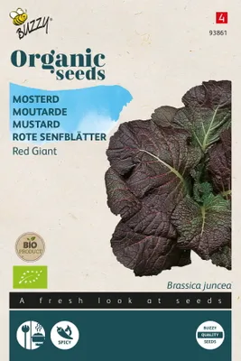 Immagine prodotto di Buzzy Organic Foglie di senape rossa gigante - Semi biologici - Circa 1 gr | Buzzy_93861