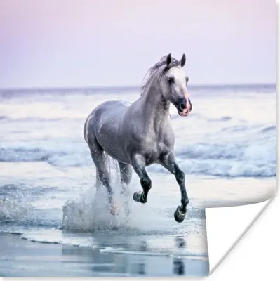 Produktbild von MuchoWow® Poster Pferd - Meer - Pastell 75x75 cm - Wand Dekoration
