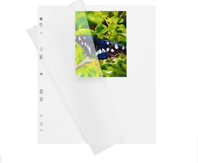 Produktbild von HERMA Fotokarton weiß mit Pergaminblatt / 7569 - 100 Blatt
